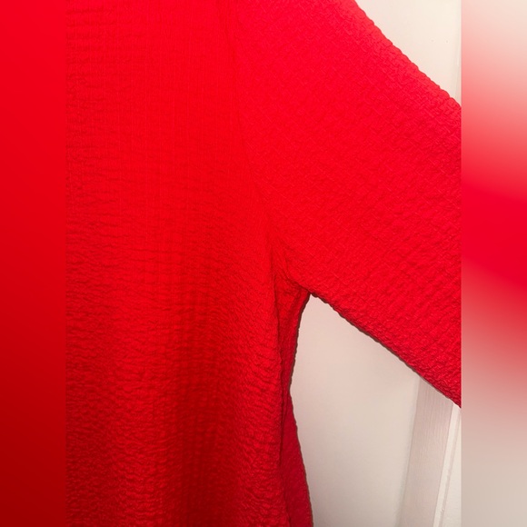 Vibrant Red Textured Dress - Picture 4 of 6